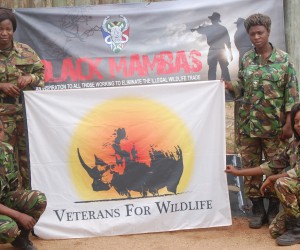 BlackMambas